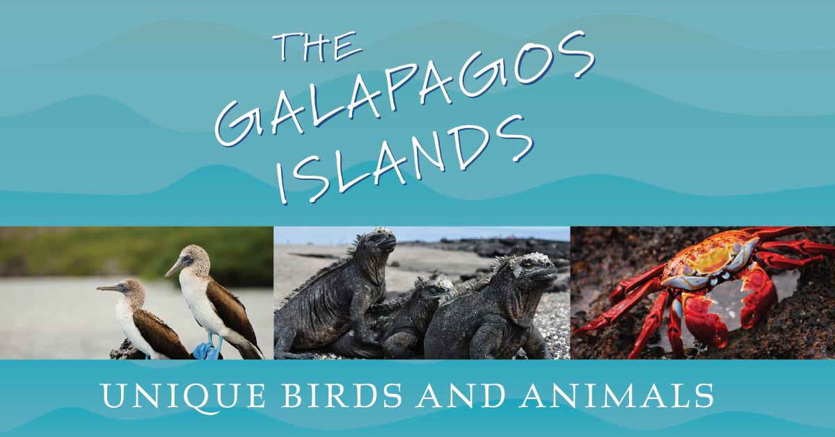 The Galapagos Islands: Unique Birds and Animals